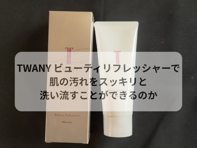 TWANY ビューティリフレッシャーで肌の汚れをスッキリと洗い流すことができるのか